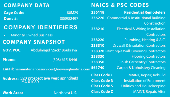 NEMS company data, NAICS and PSC codes